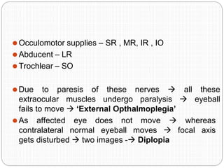 ⚫Occulomotor supplies – SR , MR, IR , IO
⚫Abducent – LR
⚫Trochlear – SO
⚫Due to paresis of these nerves  all these
extraocular muscles undergo paralysis  eyeball
fails to move  ‘External Opthalmoplegia’
⚫As affected eye does not move  whereas
contralateral normal eyeball moves  focal axis
gets disturbed  two images - Diplopia
 