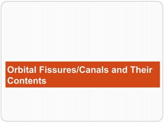 Orbital Fissures/Canals and Their
Contents
 