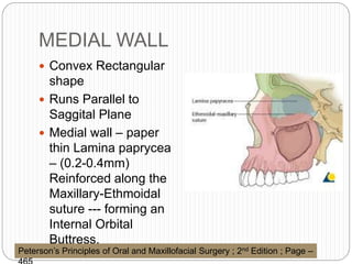 MEDIAL WALL
 Convex Rectangular
shape
 Runs Parallel to
Saggital Plane
 Medial wall – paper
thin Lamina paprycea
– (0.2-0.4mm)
Reinforced along the
Maxillary-Ethmoidal
suture --- forming an
Internal Orbital
Buttress.
Peterson’s Principles of Oral and Maxillofacial Surgery ; 2nd Edition ; Page –
 