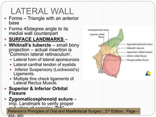 LATERAL WALL
 Forms – Triangle with an anterior
base
 Forms 45degree angle to its
medial wall counterpart
 SURFACE LANDMARKS –
 Whitnall’s tubercle – small bony
projection – actual insertion is
‘Common lateral retinaculum’.
 Lateral horn of lateral aponeurosis
 Lateral canthal tendon of eyelids
 Inferior Suspensory (Lockwood’s)
Ligaments.
 Multiple fine check ligaments of
Lateral Rectus Muscle.
 Superior & Inferior Orbital
Fissure
 Zygomaticosphenoid suture –
imp. Landmark to verify proper
reduction of complex ZMC
fracture.Peterson’s Principles of Oral and Maxillofacial Surgery ; 2nd Edition ; Page –
 