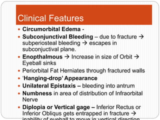 Clinical Features
 Circumorbital Edema -
 Subconjunctival Bleeding – due to fracture 
subperiosteal bleeding  escapes in
subconjuctival plane.
 Enopthalmous  Increase in size of Orbit 
Eyeball sinks
 Periorbital Fat Herniates through fractured walls
 ‘Hanging-drop’ Appearance
 Unilateral Epistaxis – bleeding into antrum
 Numbness in area of distribution of Infraorbital
Nerve
 Diplopia or Vertical gage – Inferior Rectus or
Inferior Obliqus gets entrapped in fracture 
 