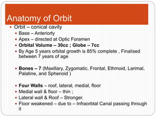 Anatomy of Orbit
 Orbit – conical cavity
 Base – Anteriorly
 Apex – directed at Optic Foramen
 Orbital Volume – 30cc ; Globe – 7cc
 By Age 5 years orbital growth is 85% complete , Finalised
between 7 years of age
 Bones – 7 (Maxillary, Zygomatic, Frontal, Ethmoid, Larimal,
Palatine, and Sphenoid )
 Four Walls – roof, lateral, medial, floor
 Medial wall & floor – thin ;
 Lateral wall & Roof – Stronger.
 Floor weakened – due to – Infraorbtal Canal passing through
it
 