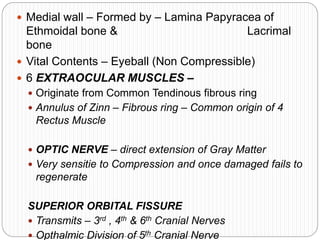  Medial wall – Formed by – Lamina Papyracea of
Ethmoidal bone & Lacrimal
bone
 Vital Contents – Eyeball (Non Compressible)
 6 EXTRAOCULAR MUSCLES –
 Originate from Common Tendinous fibrous ring
 Annulus of Zinn – Fibrous ring – Common origin of 4
Rectus Muscle
 OPTIC NERVE – direct extension of Gray Matter
 Very sensitie to Compression and once damaged fails to
regenerate
SUPERIOR ORBITAL FISSURE
 Transmits – 3rd , 4th & 6th Cranial Nerves
 Opthalmic Division of 5th Cranial Nerve
 