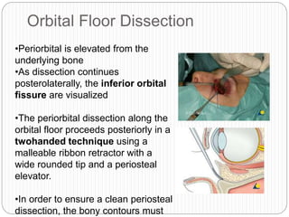 Orbital Floor Dissection
•Periorbital is elevated from the
underlying bone
•As dissection continues
posterolaterally, the inferior orbital
fissure are visualized
•The periorbital dissection along the
orbital floor proceeds posteriorly in a
twohanded technique using a
malleable ribbon retractor with a
wide rounded tip and a periosteal
elevator.
•In order to ensure a clean periosteal
dissection, the bony contours must
 