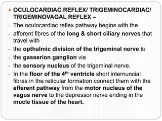  OCULOCARDIAC REFLEX/ TRIGEMINOCARDIAC/
TRIGEMINOVAGAL REFLEX –
- The oculocardiac reflex pathway begins with the
- afferent fibres of the long & short ciliary nerves that
travel with
- the opthalmic division of the trigeminal nerve to
- the gasserion ganglion via
- the sensory nucleus of the trigeminal nerve.
- In the floor of the 4th ventricle short internuncial
fibres in the reticular formation connect them with the
efferent pathway from the motor nucleus of the
vagus nerve to the depressor nerve ending in the
mucle tissue of the heart.
 