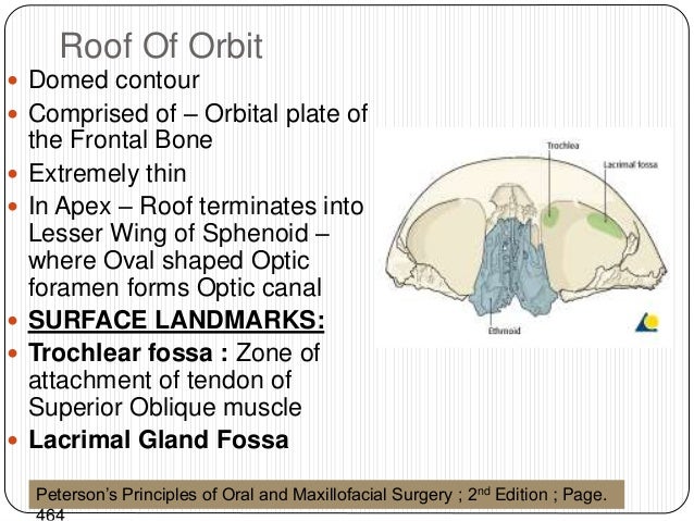 Diagnosis And Imaging Of Orbital Roof Fractures A Review Of The Current Literature Semantic Scholar