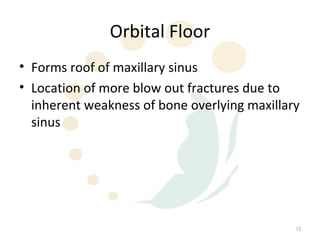 Orbital Floor
• Forms roof of maxillary sinus
• Location of more blow out fractures due to
  inherent weakness of bone overlying maxillary
  sinus




                                              13
 