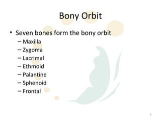 Bony Orbit
• Seven bones form the bony orbit
  – Maxilla
  – Zygoma
  – Lacrimal
  – Ethmoid
  – Palantine
  – Sphenoid
  – Frontal


                                    6
 