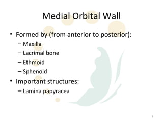 Medial Orbital Wall
• Formed by (from anterior to posterior):
  – Maxilla
  – Lacrimal bone
  – Ethmoid
  – Sphenoid
• Important structures:
  – Lamina papyracea


                                            9
 