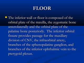 FLOORFLOOR
 The inferior wall or floor is composed of theThe inferior wall or floor is composed of the
orbital plate of the maxilla, the zygomatic boneorbital plate of the maxilla, the zygomatic bone
anterolaterally and the orbital plate of theanterolaterally and the orbital plate of the
palatine bone posteriorly. The inferior orbitalpalatine bone posteriorly. The inferior orbital
fissure provides passage for the maxillaryfissure provides passage for the maxillary
division of CNV, the infraorbital artery,division of CNV, the infraorbital artery,
branches of the sphenopalatine ganglion, andbranches of the sphenopalatine ganglion, and
branches of the inferior ophthalmic vein to thebranches of the inferior ophthalmic vein to the
pterygoid plexus.pterygoid plexus.
 