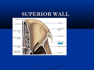 SUPERIOR WALLSUPERIOR WALL
 