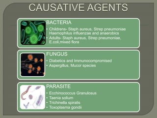 BACTERIA
• Childrens- Staph aureus, Strep pneumoniae
Haemophilus influenzae and anaerobics
• Adults- Staph aureus, Strep pneumoniae,
E.coli,mixed flora
FUNGUS
• Diabetics and Immunocompromised
• Aspergillus, Mucor species
PARASITE
• Ecchinococcus Granulosus
• Taenia solium
• Trichinella spiralis
• Toxoplasma gondii
 