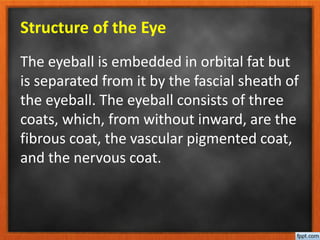 Structure of the Eye
The eyeball is embedded in orbital fat but
is separated from it by the fascial sheath of
the eyeball. The eyeball consists of three
coats, which, from without inward, are the
fibrous coat, the vascular pigmented coat,
and the nervous coat.
 