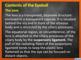 Contents of the Eyeball
The Lens
The lens is a transparent, biconvex structure
enclosed in a transparent capsule. It is situated
behind the iris and in front of the vitreous
body and is encircled by the ciliary processes.
The equatorial region, or circumference, of the
lens is attached to the ciliary processes of the
ciliary body by the suspensory ligament. The
pull of the radiating fibers of the suspensory
ligament tends to keep the elastic lens
flattened so that the eye can be focused on
distant objects.
 