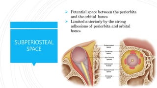 SUBPERIOSTEAL
SPACE
 Potential space between the periorbita
and the orbital bones
 Limited anteriorly by the strong
adhesions of periorbita and orbital
bones
 