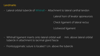 Landmarks
- Lateral orbital tubercle of Whitnall - Attachment to lateral canthal tendon
Lateral horn of levator aponeurosis
Check ligament of lateral rectus
Lockwood ligament
- Whitnall ligament inserts onto lateral orbital wall mm. above lateral orbital
tubercle in attachment to lacrimal gland fascia
- Frontozygomatic suture is located 1 cm. above the tubercle
 