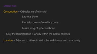 Medial wall :
Composition – Orbital plate of ethmoid
Lacrimal bone
Frontal process of maxillary bone
Lesser wing of sphenoid bone
- Only the lacrimal bone is wholly within the orbital confines
Location – Adjacent to ethmoid and sphenoid sinuses and nasal cavity
 