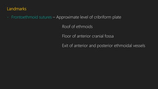 Landmarks
- Frontoethmoid sutures – Approximate level of cribriform plate
Roof of ethmoids
Floor of anterior cranial fossa
Exit of anterior and posterior ethmoidal vessels
 