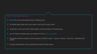 Other important features :
 Periorbita is the periosteal lining of orbital bones
 At orbital apex fuses with dura mater covering the optic nerve
 Anteriorly continuous with orbital septum and periosteum of facial bones
 Line of fusion of these layers at orbital rim forms arcus marginalis
 Periorbita adheres loosely to bone except at orbital margin , sutures , fissures , foramina , tubercles and
canals
 During exenteration can be separated except at these layers
 
