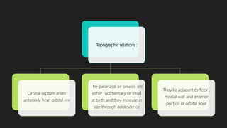 Topographic relations :
Orbital septum arises
anteriorly from orbital rim
The paranasal air sinuses are
either rudimentary or small
at birth and they increase in
size through adolescence
They lie adjacent to floor ,
medial wall and anterior
portion of orbital floor
 