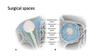 Surgical spaces
 