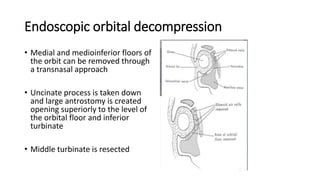 Endoscopic orbital decompression
• Medial and medioinferior floors of
the orbit can be removed through
a transnasal approach
• Uncinate process is taken down
and large antrostomy is created
opening superiorly to the level of
the orbital floor and inferior
turbinate
• Middle turbinate is resected
• .
 