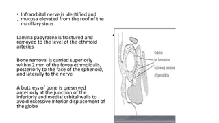 .
• Infraorbital nerve is identified and
mucosa elevated from the roof of the
maxillary sinus
Lamina papyracea is fractured and
removed to the level of the ethmoid
arteries
Bone removal is carried superiorly
within 2 mm of the fovea ethmoidalis,
posteriorly to the face of the sphenoid,
and laterally to the nerve
A buttress of bone is preserved
anteriorly at the junction of the
inferiorly and medial orbital walls to
avoid excessive inferior displacement of
the globe
• .
 