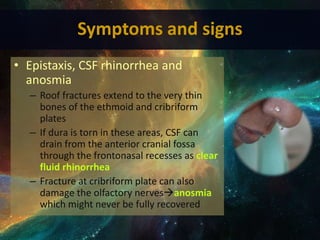 Symptoms and signs
• Epistaxis, CSF rhinorrhea and
anosmia
– Roof fractures extend to the very thin
bones of the ethmoid and cribriform
plates
– If dura is torn in these areas, CSF can
drain from the anterior cranial fossa
through the frontonasal recesses as clear
fluid rhinorrhea
– Fracture at cribriform plate can also
damage the olfactory nervesanosmia
which might never be fully recovered
 