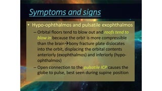 • Hypo-ophthalmos and pulsatile exophthalmos
– Orbital floors tend to blow out and roofs tend to
blow in because the orbit is more compressible
than the brainbony fracture plate dislocates
into the orbit, displacing the orbital contents
anteriorly (exophthalmos) and inferiorly (hypo-
ophthalmos)
– Open connection to the pulsatile ICP causes the
globe to pulse, best seen during supine position
Symptoms and signs
 
