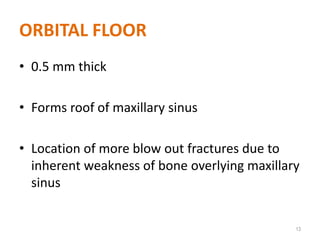 ORBITAL FLOOR
• 0.5 mm thick
• Forms roof of maxillary sinus
• Location of more blow out fractures due to
inherent weakness of bone overlying maxillary
sinus
13
 