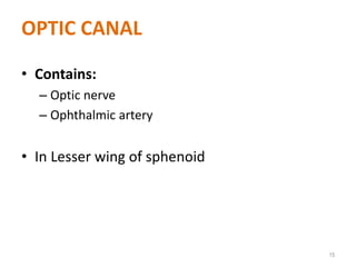 OPTIC CANAL
• Contains:
– Optic nerve
– Ophthalmic artery
• In Lesser wing of sphenoid
15
 