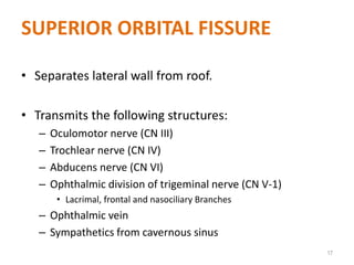 SUPERIOR ORBITAL FISSURE
• Separates lateral wall from roof.
• Transmits the following structures:
– Oculomotor nerve (CN III)
– Trochlear nerve (CN IV)
– Abducens nerve (CN VI)
– Ophthalmic division of trigeminal nerve (CN V-1)
• Lacrimal, frontal and nasociliary Branches
– Ophthalmic vein
– Sympathetics from cavernous sinus
17
 