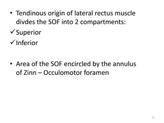 • Tendinous origin of lateral rectus muscle
divdes the SOF into 2 compartments:
Superior
Inferior
• Area of the SOF encircled by the annulus
of Zinn – Occulomotor foramen
19
 