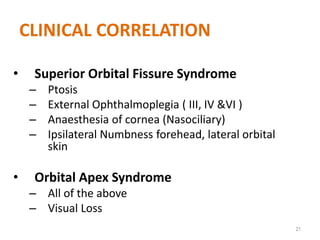 CLINICAL CORRELATION
• Superior Orbital Fissure Syndrome
– Ptosis
– External Ophthalmoplegia ( III, IV &VI )
– Anaesthesia of cornea (Nasociliary)
– Ipsilateral Numbness forehead, lateral orbital
skin
• Orbital Apex Syndrome
– All of the above
– Visual Loss
21
 