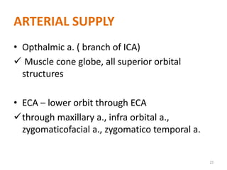 ARTERIAL SUPPLY
• Opthalmic a. ( branch of ICA)
 Muscle cone globe, all superior orbital
structures
• ECA – lower orbit through ECA
through maxillary a., infra orbital a.,
zygomaticofacial a., zygomatico temporal a.
23
 