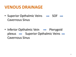VENOUS DRAINAGE
• Superior Opthalmic Veins SOF
Cavernous Sinus
• Inferior Opthalmic Vein Pterygoid
plexus Superior Opthalmic Veins
Cavernous Sinus
24
 