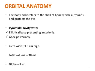 ORBITAL ANATOMY
• The bony orbit refers to the shell of bone which surrounds
and protects the eye.
• Pyramidal cavity with:
 Elliptical base presenting anteriorly.
 Apex posteriorly.
• 4 cm wide ; 3.5 cm high.
• Total volume – 30 ml
• Globe – 7 ml
3
 