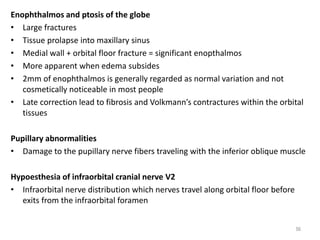 Enophthalmos and ptosis of the globe
• Large fractures
• Tissue prolapse into maxillary sinus
• Medial wall + orbital floor fracture = significant enopthalmos
• More apparent when edema subsides
• 2mm of enophthalmos is generally regarded as normal variation and not
cosmetically noticeable in most people
• Late correction lead to fibrosis and Volkmann’s contractures within the orbital
tissues
Pupillary abnormalities
• Damage to the pupillary nerve fibers traveling with the inferior oblique muscle
Hypoesthesia of infraorbital cranial nerve V2
• Infraorbital nerve distribution which nerves travel along orbital floor before
exits from the infraorbital foramen
56
 