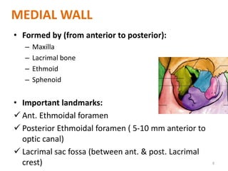 MEDIAL WALL
• Formed by (from anterior to posterior):
– Maxilla
– Lacrimal bone
– Ethmoid
– Sphenoid
• Important landmarks:
 Ant. Ethmoidal foramen
 Posterior Ethmoidal foramen ( 5-10 mm anterior to
optic canal)
 Lacrimal sac fossa (between ant. & post. Lacrimal
crest) 8
 