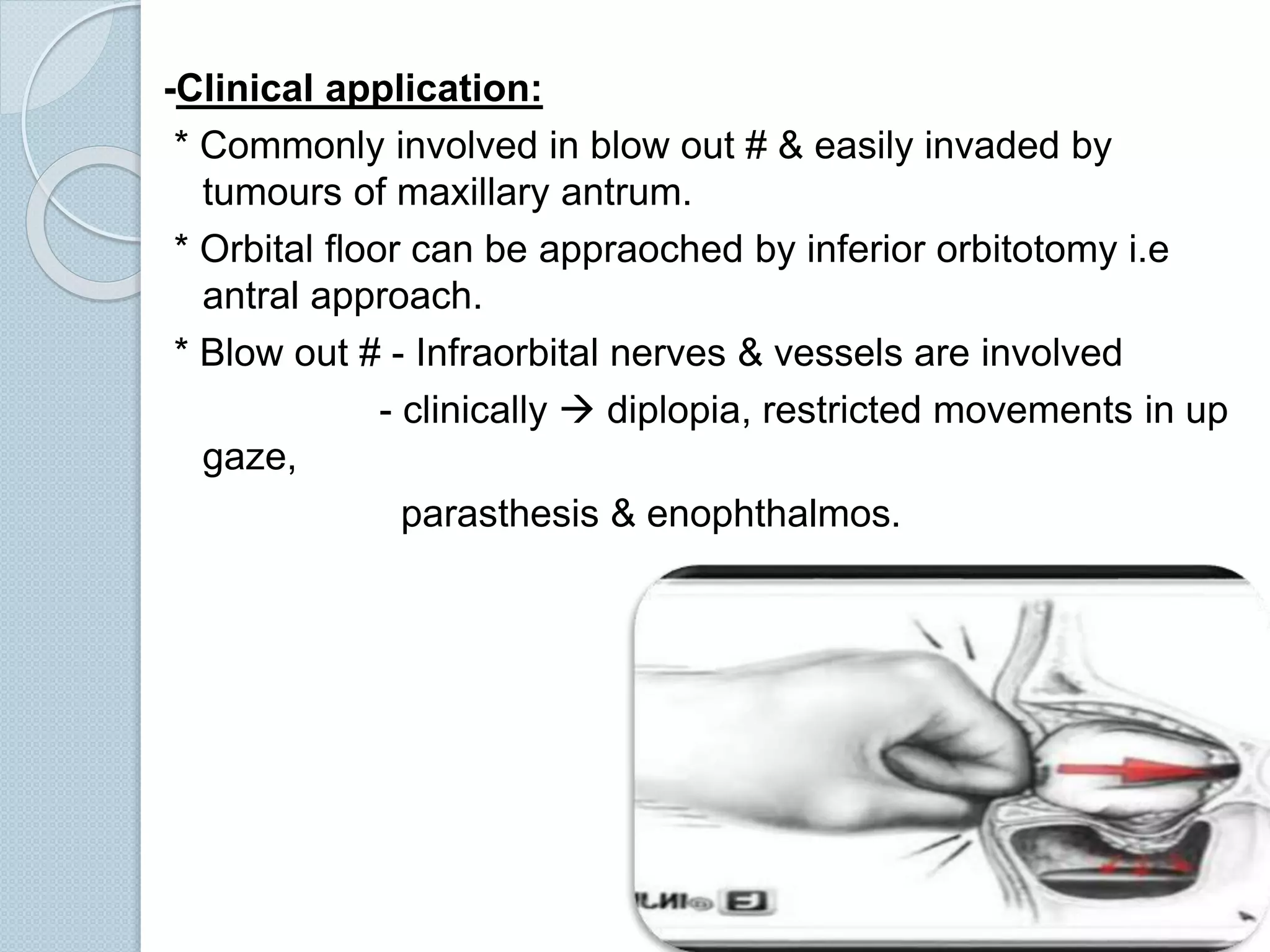Orbitotomy Instruments Orbit anatomy | PPTX