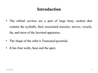 Orbit anatomy.ppt