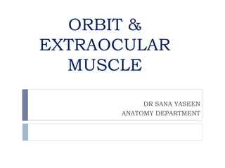 ORBIT &
EXTRAOCULAR
MUSCLE
DR SANA YASEEN
ANATOMY DEPARTMENT
 