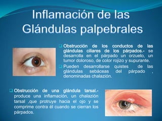 Pueden desarrollarse quistes  de las glándulas sebáceas del párpado , denominadas chalazión. 