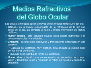 Es la retina. formada por dos porciones: