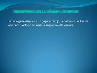 Porción posterior (fondo), presenta el disco óptico, área deprimida circular  insensible a la luz. Lateralmente a este disco, se encuentra la mácula lútea , área pequeña y ovalada con conos fotorreceptores especializados para la agudeza visual, y en el centro de la misma está la fóvea central (área de máxima agudeza).