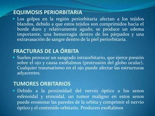 EQUIMOSIS PERIORBITARIALos golpes en la región periorbitaria afectan a los tejidos blandos, debido a que estos tejidos son comprimidos hacia el borde duro y relativamente agudo, se produce un edema importante, una hemorragia dentro de los párpados y una extravasación de sangre dentro de la piel periorbitaria.FRACTURAS DE LA ÓRBITASuelen provocar un sangrado intraorbitario, que ejerce presión sobre el ojo y causa exoftalmos (protrusión del globo ocular). Cualquier traumatismo en el ojo puede afectar las estructuras adyacentes.TUMORES ORBITARIOSDebido a la proximidad del nervio óptico a los senos esfenoidal y etmoidal, un tumor maligno en estos senos  puede erosionar las paredes de la orbita y comprimir el nervio óptico y el contenido orbitario. Producen exoftalmosLOS PÁRPADOSSon pliegues móviles que están cubiertos por fuera por piel delgada y por dentro por una membrana mucosa transparente, la conjuntiva palpebral.Cubren los ojos por delante y los protegen de las lesiones y de la luz excesivaMantienen la córnea húmeda  porque distribuyen el líquidolacrimal.Las pestañas se localizan en los bordes palpebrales. Contienen  glándulas sebáceas llamadas glándulas ciliares. Las uniones de los párpados superior e inferior forman las comisuras palpebrales media y lateral.