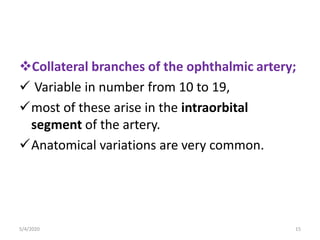 Collateral branches of the ophthalmic artery;
 Variable in number from 10 to 19,
most of these arise in the intraorbital
segment of the artery.
Anatomical variations are very common.
5/4/2020 15
 