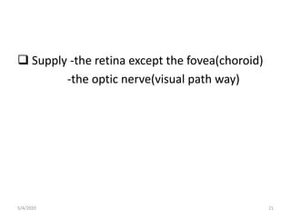  Supply -the retina except the fovea(choroid)
-the optic nerve(visual path way)
5/4/2020 21
 