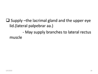 Supply –the lacrimal gland and the upper eye
lid.(lateral palpebrar aa.)
- May supply branches to lateral rectus
muscle
5/4/2020 28
 
