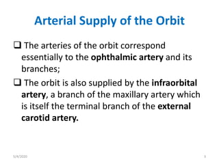 Arterial Supply of the Orbit
 The arteries of the orbit correspond
essentially to the ophthalmic artery and its
branches;
 The orbit is also supplied by the infraorbital
artery, a branch of the maxillary artery which
is itself the terminal branch of the external
carotid artery.
5/4/2020 3
 